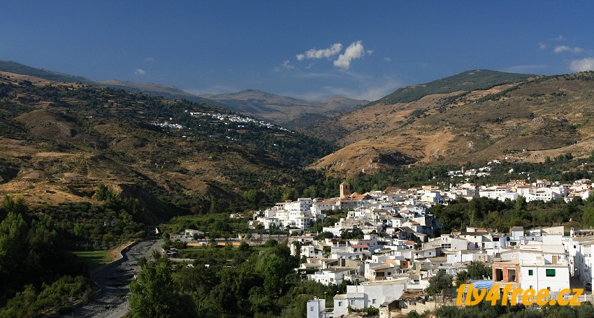 img00003.jpg