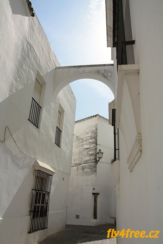 img00062.jpg