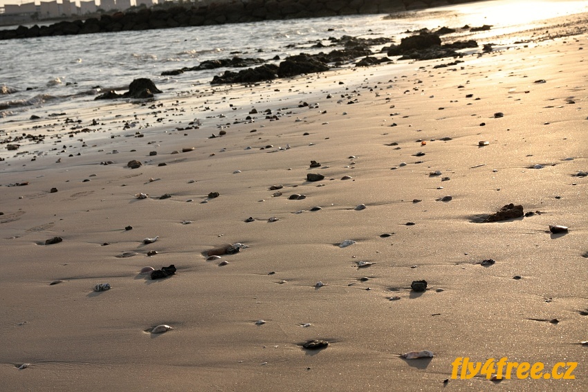 img00072.jpg