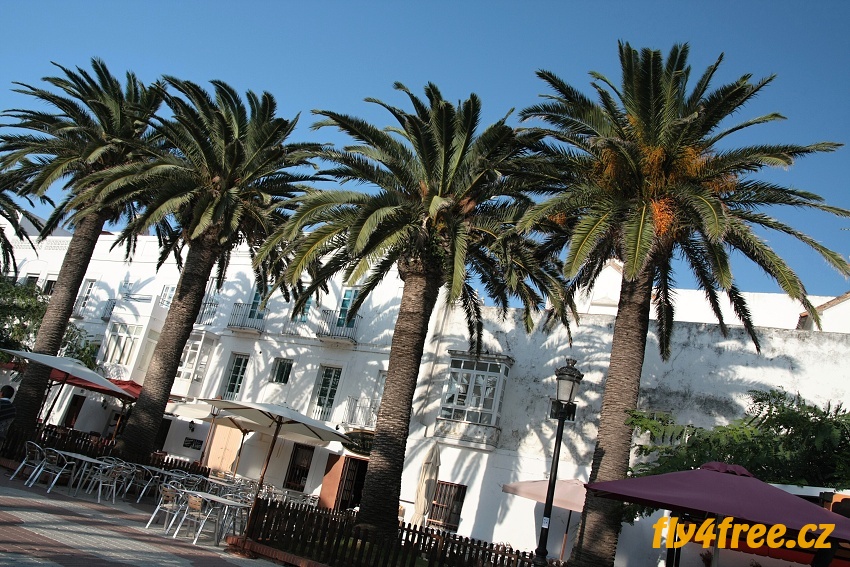 img00089.jpg