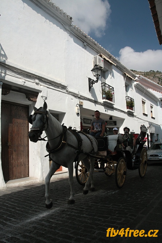 img00106.jpg