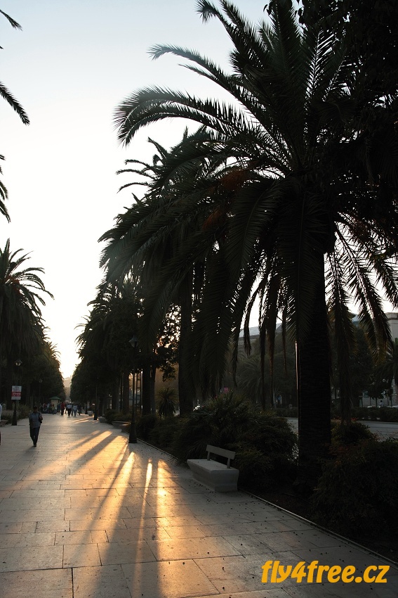 img00118.jpg