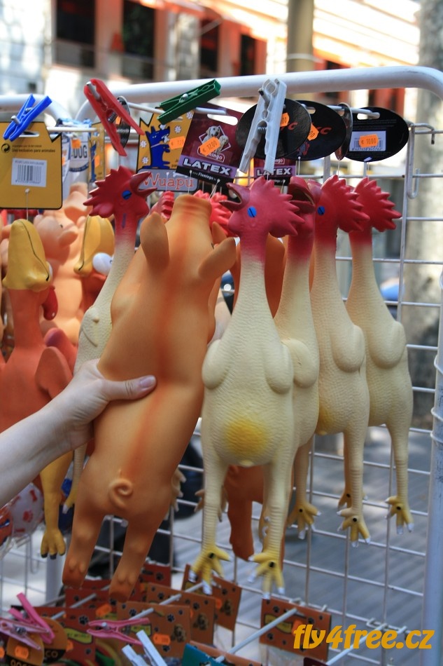 img00005.jpg
