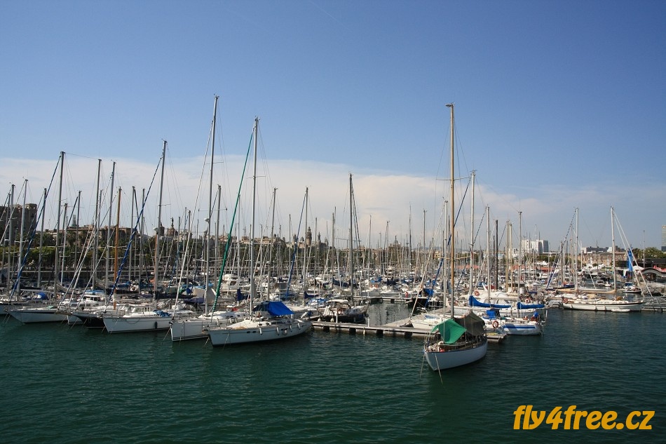 img00016.jpg