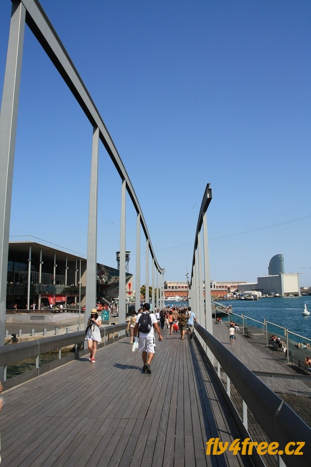 img00017.jpg