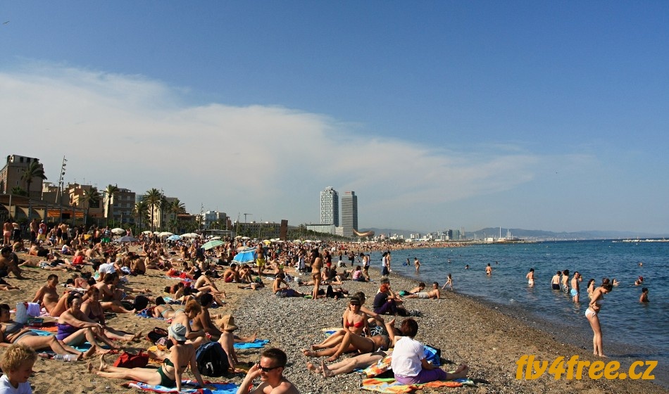 img00021.jpg