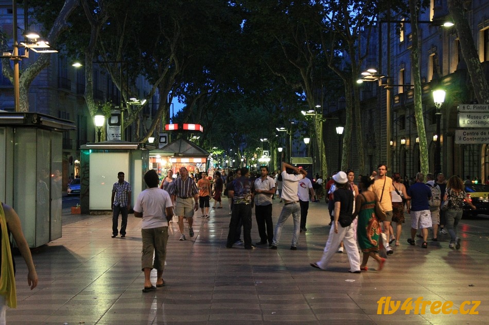 img00039.jpg