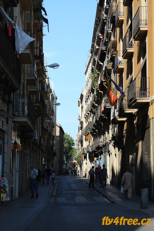img00063.jpg
