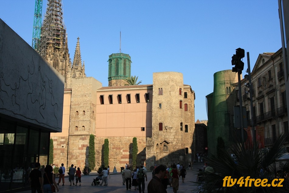 img00071.jpg