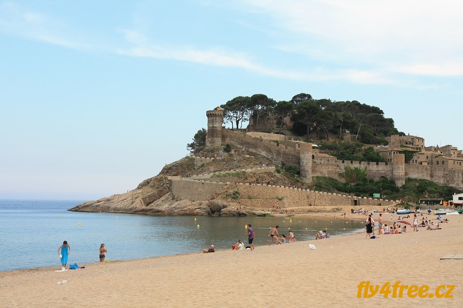 img00018.jpg