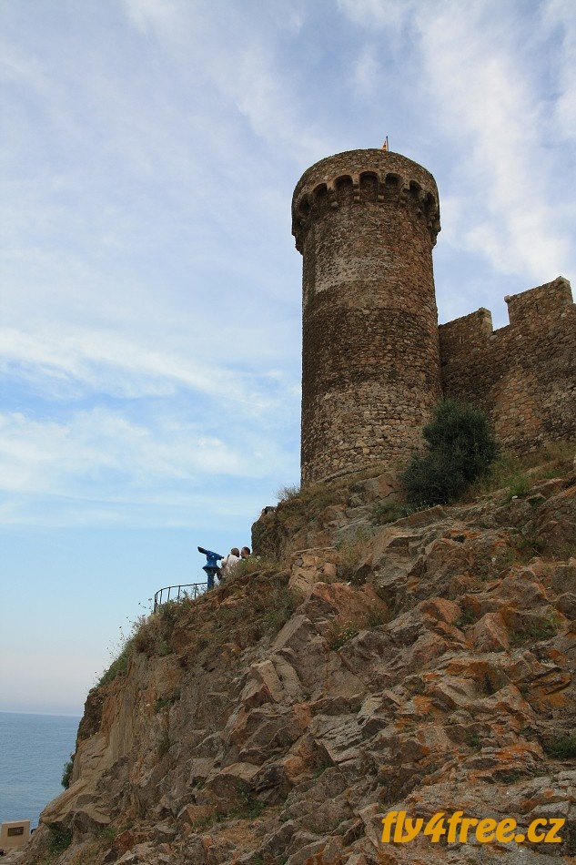 img00020.jpg