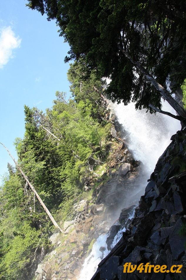 img00037.jpg