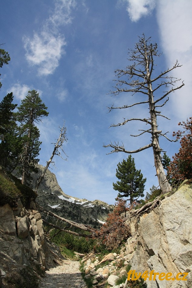 img00040.jpg