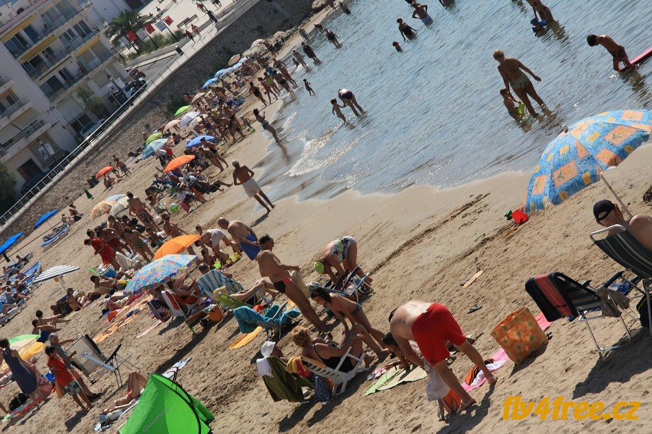 img00091.jpg