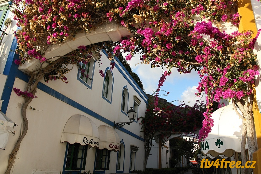 img00010.jpg