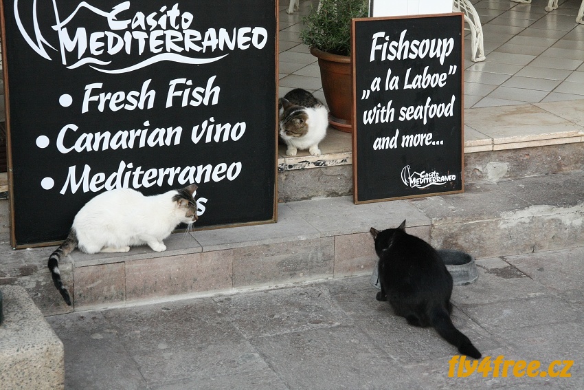 img00014.jpg