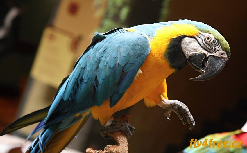 img00018.jpg