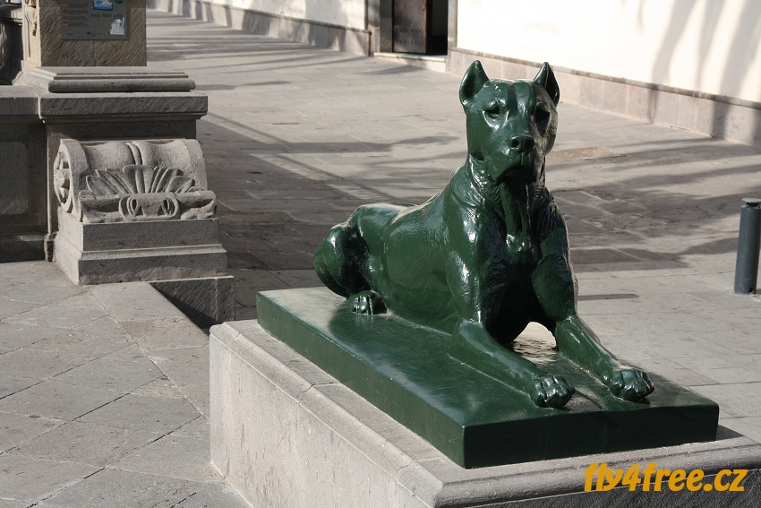 img00030.jpg