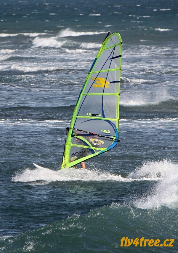 img00064.jpg