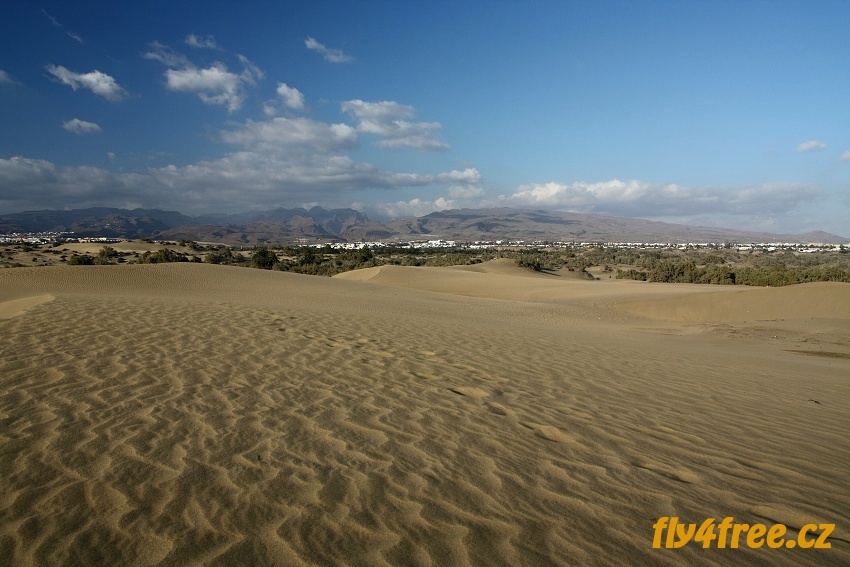 img00066.jpg