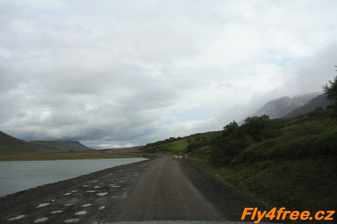img00043.jpg