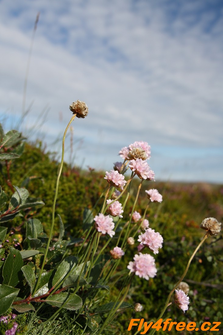 img00076.jpg