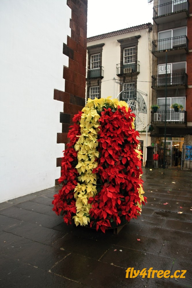 img00011.jpg