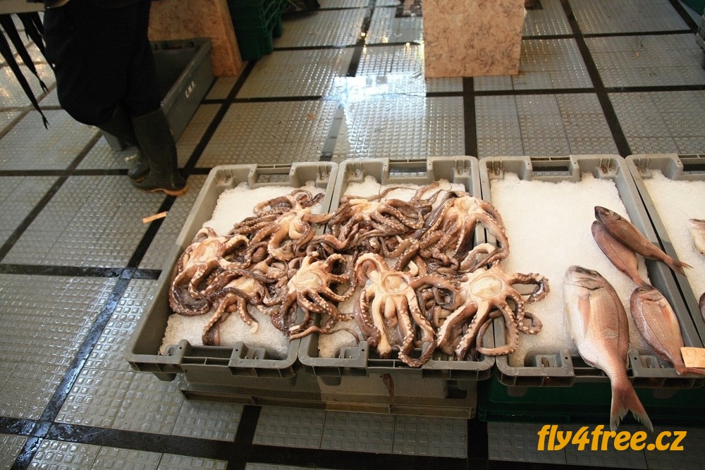 img00013.jpg