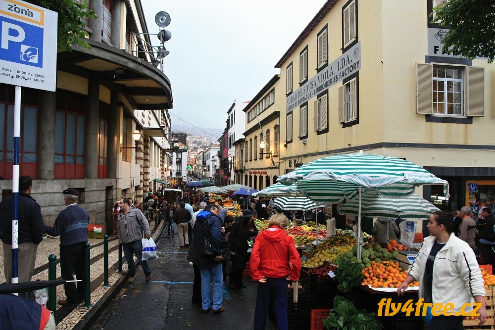 img00018.jpg