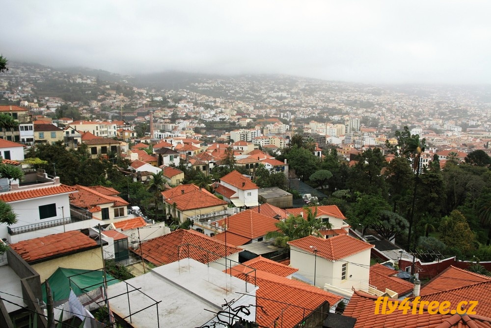 img00020.jpg