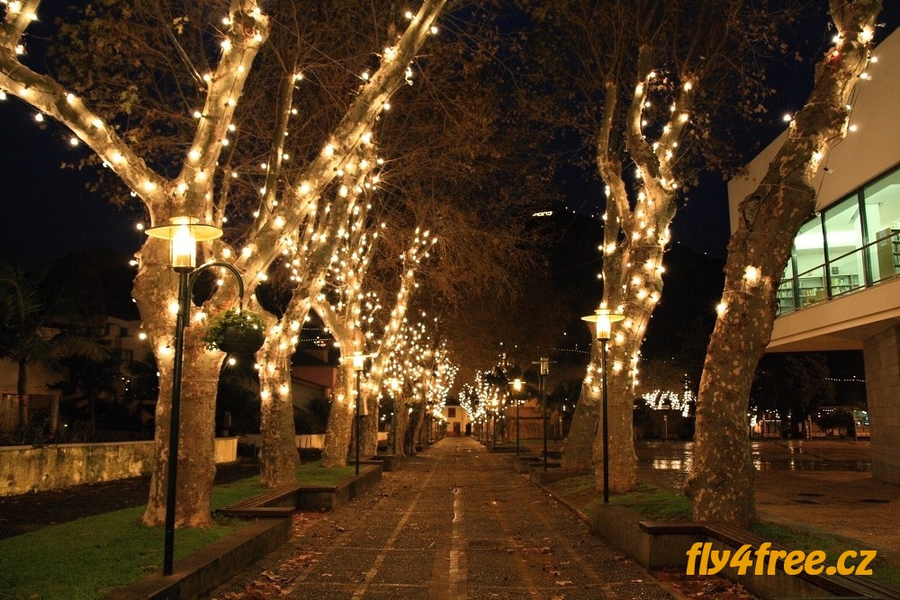 img00030.jpg