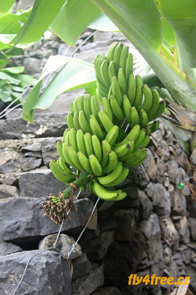 img00038.jpg