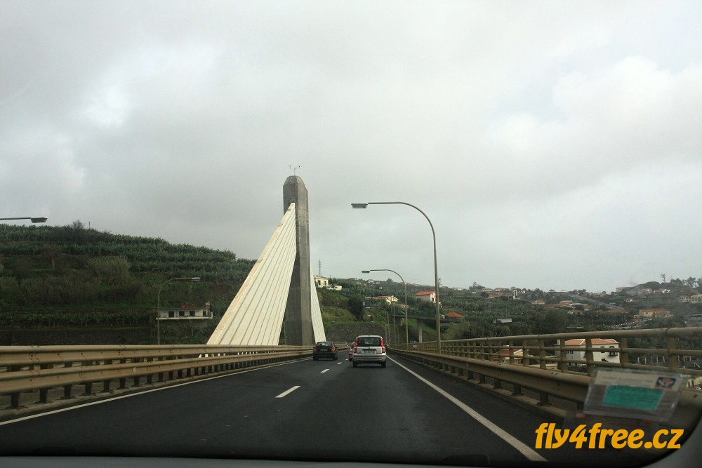 img00039.jpg