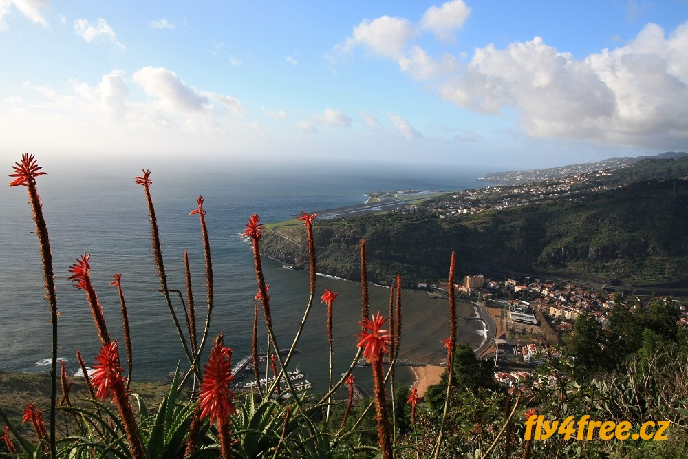 img00050.jpg