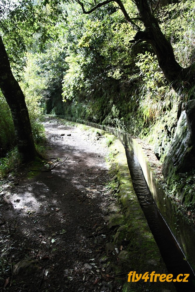 img00069.jpg