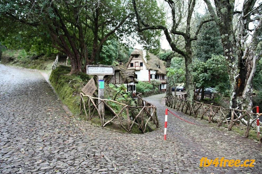 img00070.jpg