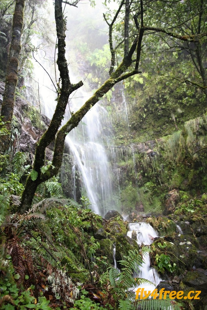 img00072.jpg