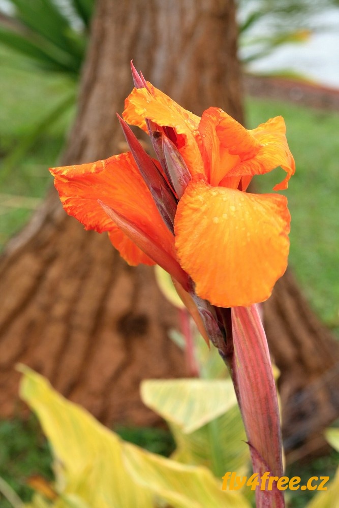 img00094.jpg