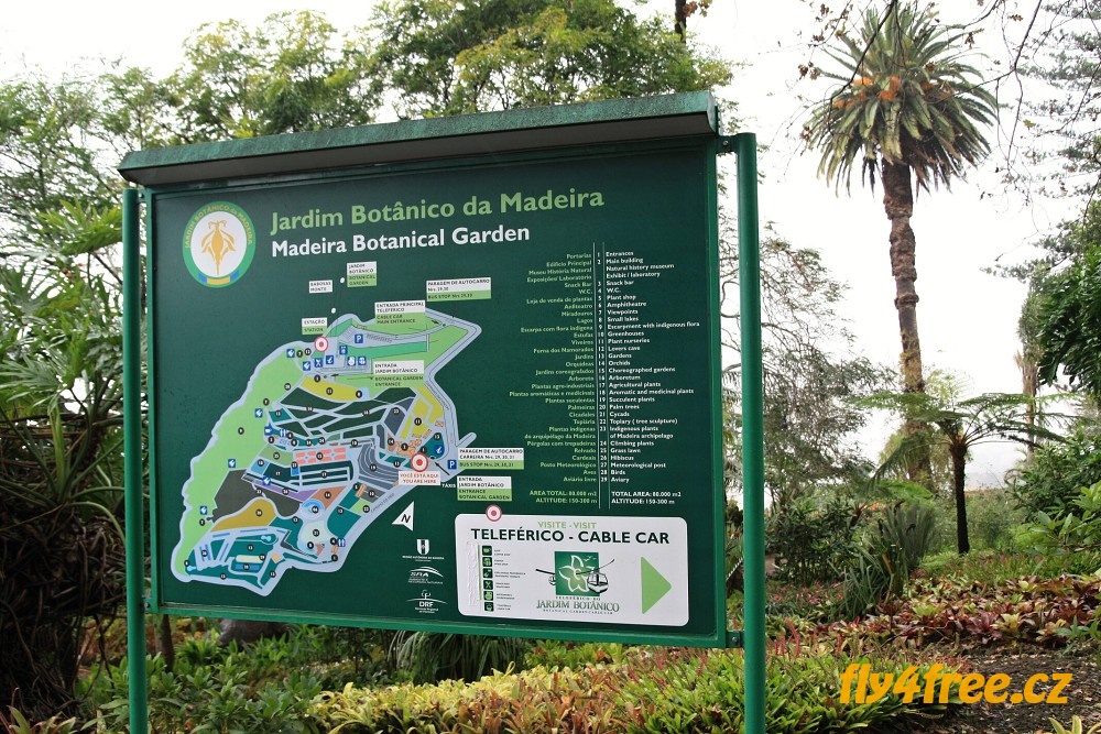 img00100.jpg