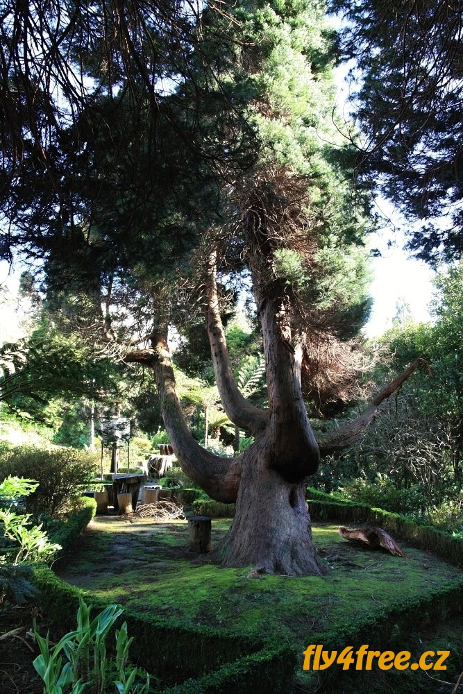 img00115.jpg
