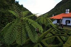 thn00065.jpg