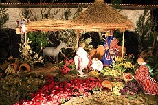 thn00088.jpg