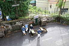 thn00120.jpg
