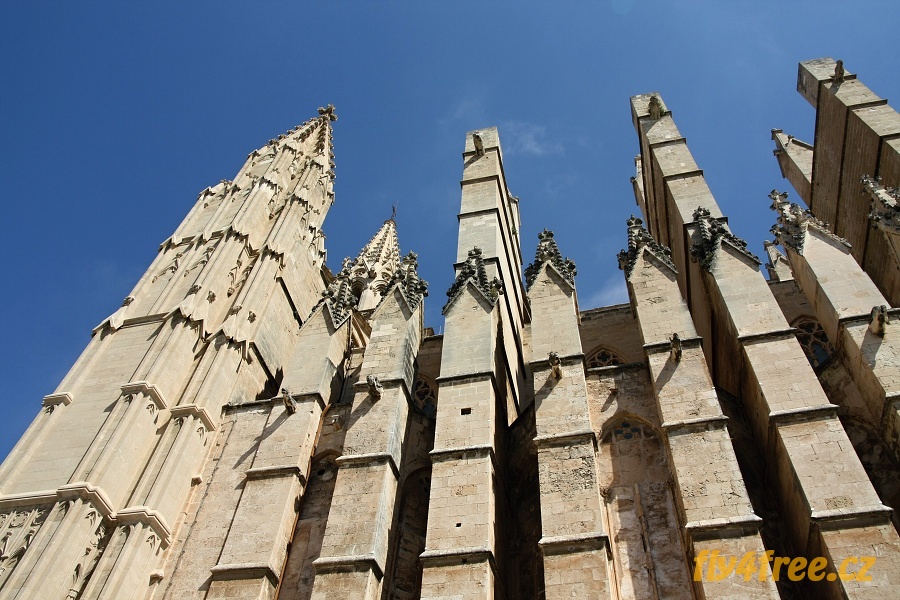 img00002.jpg