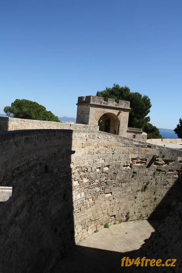 img00008.jpg