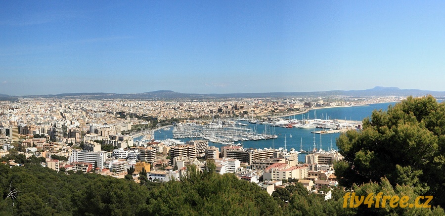 img00012.jpg
