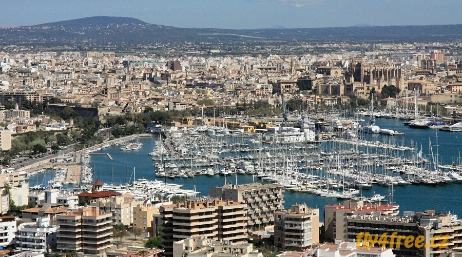 img00013.jpg