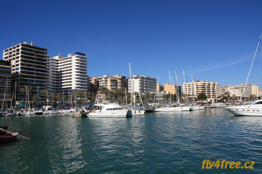 img00017.jpg