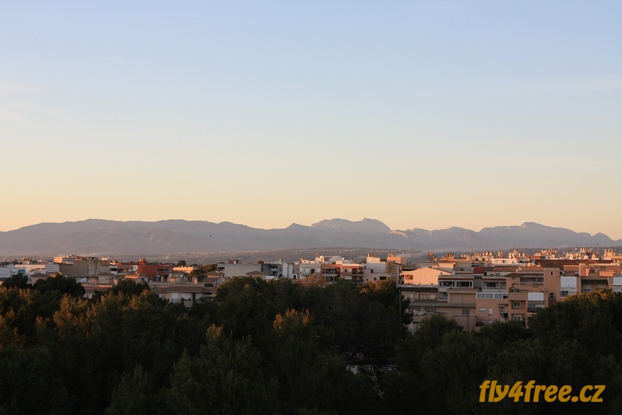 img00029.jpg