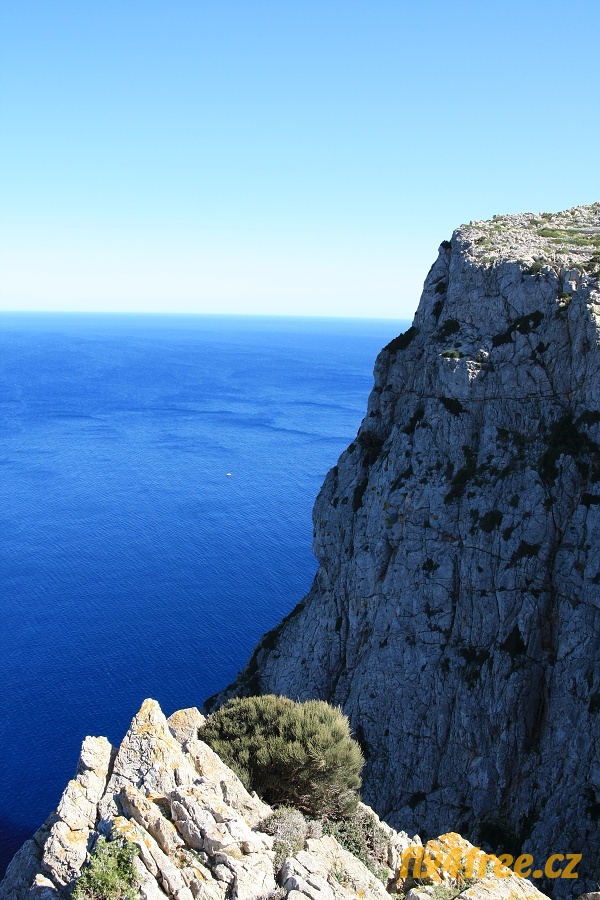 img00043.jpg
